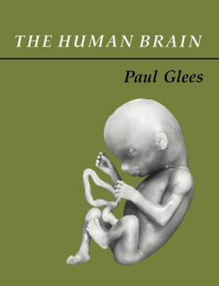 Kniha Human Brain Paul Glees