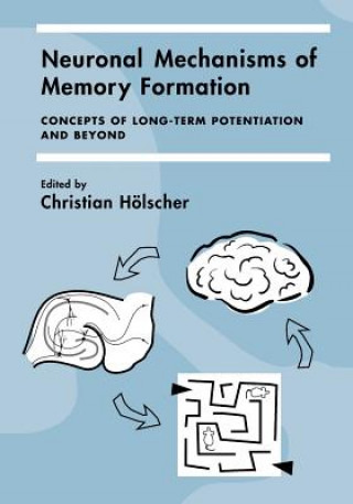 Kniha Neuronal Mechanisms of Memory Formation Christian Hölscher