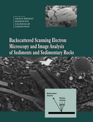 Książka Backscattered Scanning Electron Microscopy and Image Analysis of Sediments and Sedimentary Rocks David H. KrinsleyKenneth PyeSam Boggs