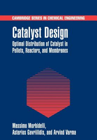 Carte Catalyst Design Massimo MorbidelliAsterios GavriilidisArvind Varma