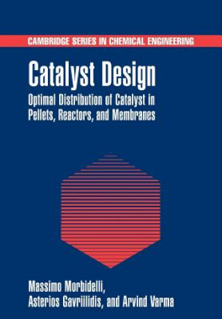 Libro Catalyst Design Massimo MorbidelliAsterios GavriilidisArvind Varma