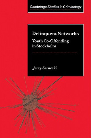 Kniha Delinquent Networks Jerzy Sarnecki