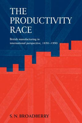 Boek Productivity Race Steve N. Broadberry