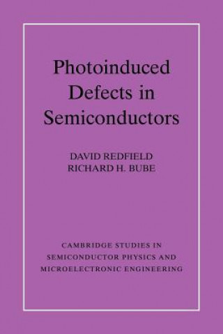 Kniha Photo-induced Defects in Semiconductors David RedfieldRichard H. Bube