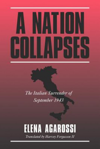 Книга Nation Collapses Elena AgarossiHarvey Fergusson II