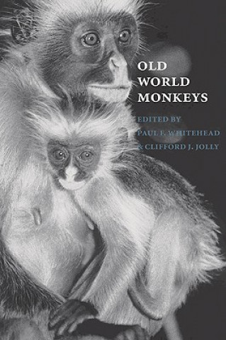Book Old World Monkeys Paul F. WhiteheadClifford J. Jolly