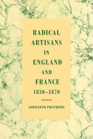 Kniha Radical Artisans in England and France, 1830-1870 Iorwerth Prothero