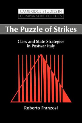 Kniha Puzzle of Strikes Roberto Franzosi