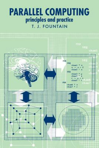 Könyv Parallel Computing T. J. Fountain