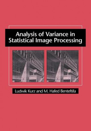 Könyv Analysis of Variance in Statistical Image Processing Ludwik KurzM. Hafed Benteftifa