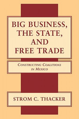 Könyv Big Business, the State, and Free Trade Strom C. Thacker