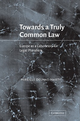 Knjiga Towards a Truly Common Law Mireille Delmas-MartyNaomi Norberg