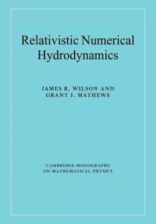 Книга Relativistic Numerical Hydrodynamics James R. WilsonGrant J. Mathews