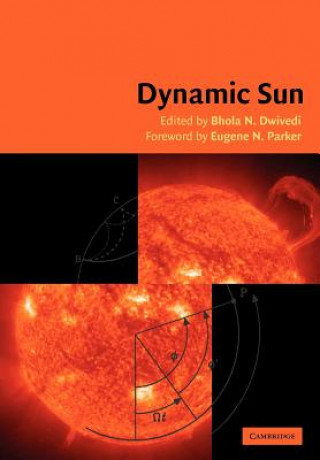 Carte Dynamic Sun B. N. DwivediE. N. Parker