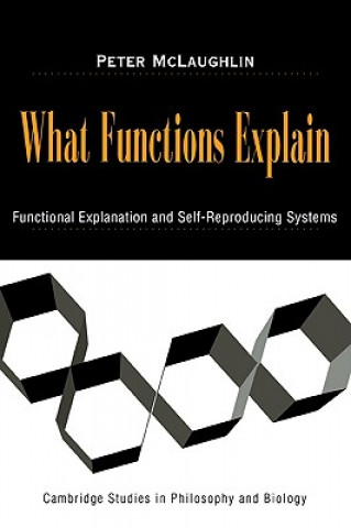 Kniha What Functions Explain Peter McLaughlin