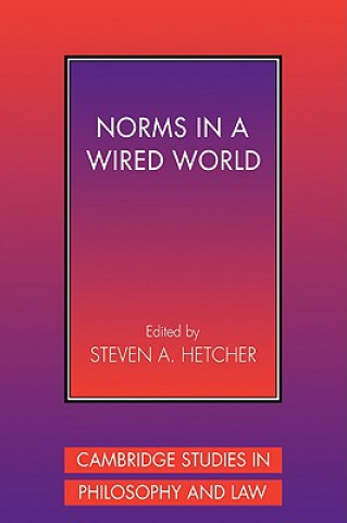 Книга Norms in a Wired World Steven A. Hetcher