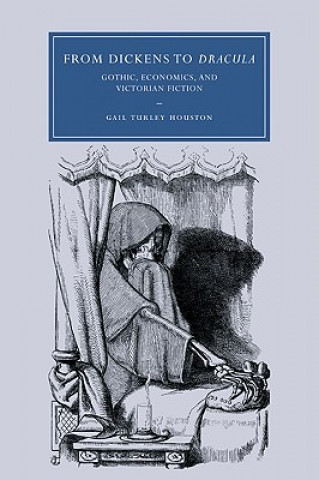 Kniha From Dickens to Dracula Gail Turley Houston