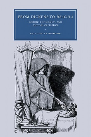 Buch From Dickens to Dracula Gail Turley Houston