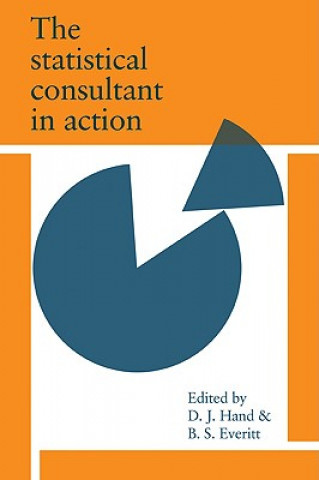 Libro Statistical Consultant in Action D. J. HandB. S. Everitt