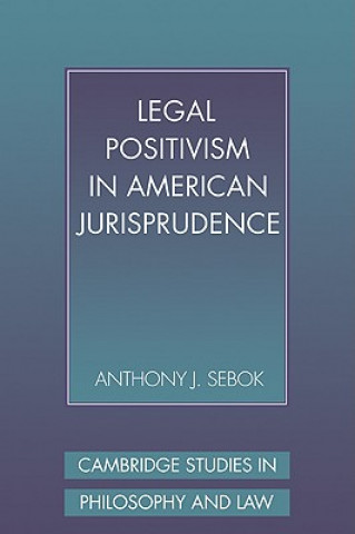 Kniha Legal Positivism in American Jurisprudence Anthony J. Sebok