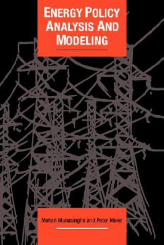 Kniha Energy Policy Analysis and Modelling Mohan Munasinghe