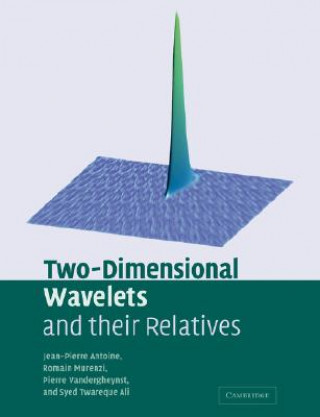 Kniha Two-Dimensional Wavelets and their Relatives Jean-Pierre AntoineRomain MurenziPierre VandergheynstSyed Twareque Ali