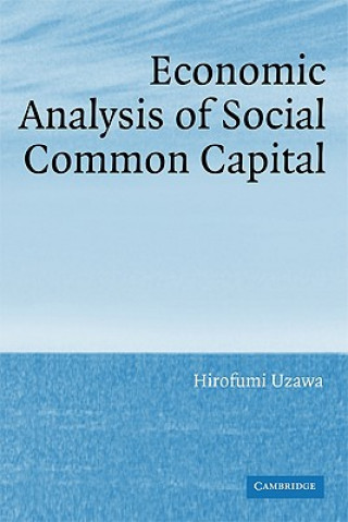 Livre Economic Analysis of Social Common Capital Hirofumi Uzawa