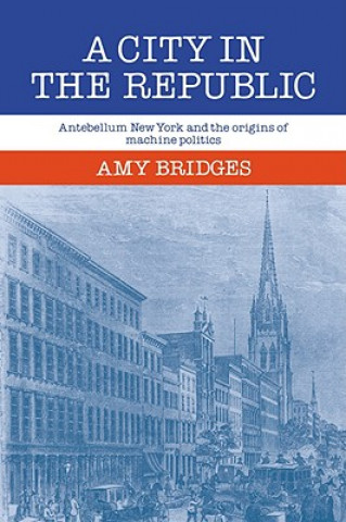 Könyv City in the Republic Amy Bridges