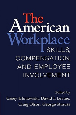 Kniha American Workplace Casey IchniowskiDavid I. LevineCraig OlsonGeorge Strauss