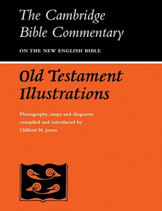 Knjiga Old Testament Illustrations Clifford M. Jones