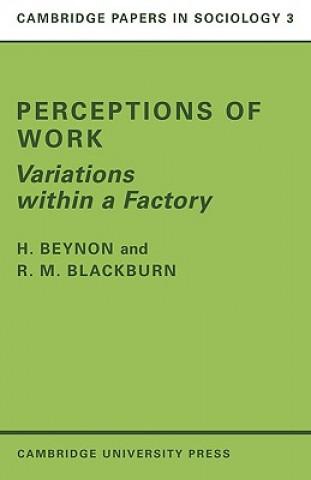 Buch Perceptions of Work H. BeynonR. M.  Blackburn