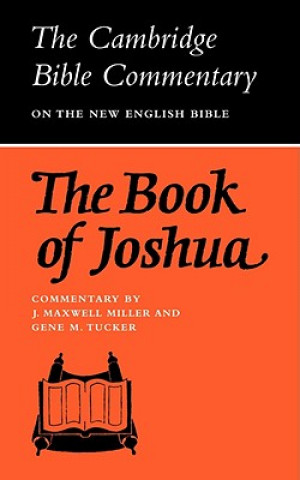 Book Book of Joshua J. Maxwell MillerGene M. Tucker