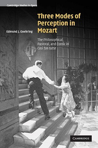 Książka Three Modes of Perception in Mozart Edmund J. Goehring