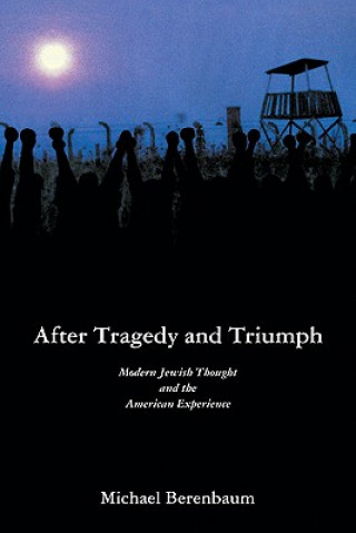 Book After Tragedy and Triumph Michael Berenbaum