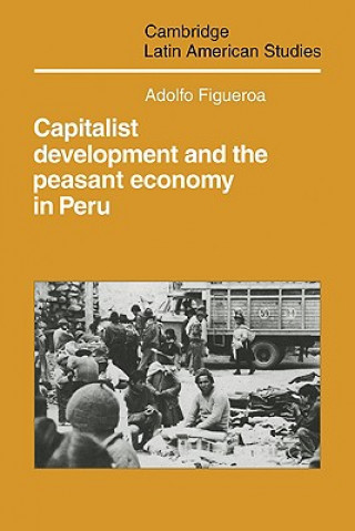 Kniha Capitalist Development and the Peasant Economy in Peru Adolfo Figueroa