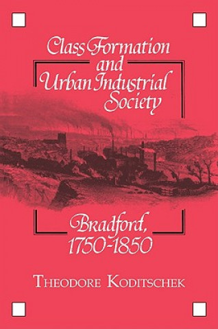 Książka Class Formation and Urban Industrial Society Theodore Koditschek