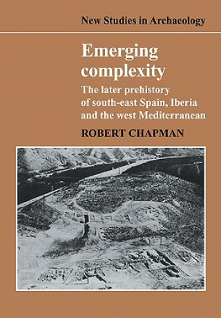 Kniha Emerging Complexity Robert Chapman