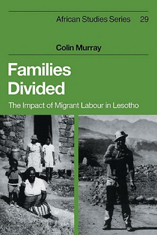 Könyv Families Divided Colin Murray