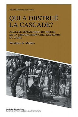 Könyv Qui a obstrue la cascade? Wauthier De Mahieu
