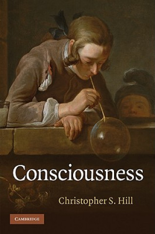 Kniha Consciousness Christopher S. Hill