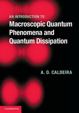 Könyv Introduction to Macroscopic Quantum Phenomena and Quantum Dissipation A. O. Caldeira