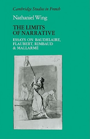 Kniha Limits of Narrative Nathaniel Wing