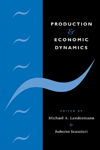 Kniha Production and Economic Dynamics Michael A. LandesmannRoberto Scazzieri