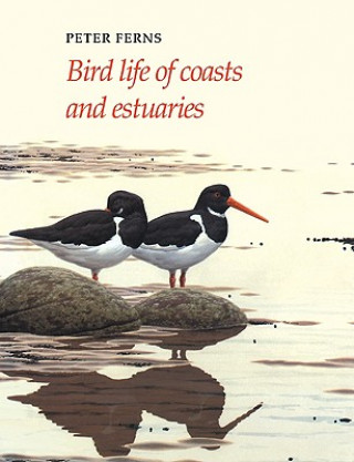 Kniha Bird Life of Coasts and Estuaries P. N. Ferns