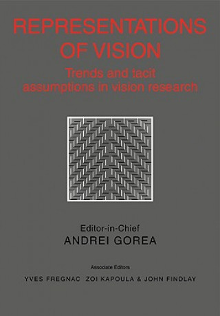 Buch Representations of Vision Andrei GoreaYves FregnacZoi KapoulaJohn Findlay