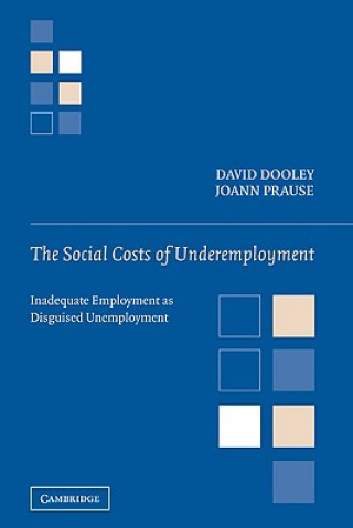 Kniha Social Costs of Underemployment David DooleyJoAnn Prause