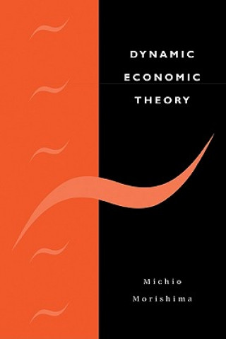 Könyv Dynamic Economic Theory Michio Morishima