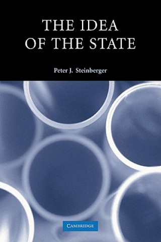 Książka Idea of the State Peter J. Steinberger