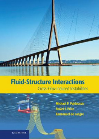 Könyv Fluid-Structure Interactions Michael P. PaStuart J. PriceEmmanuel de Langre