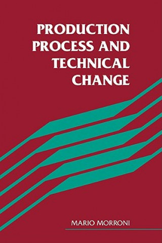 Kniha Production Process and Technical Change Mario Morroni